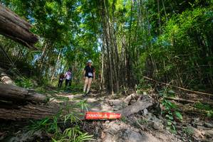 BIB: 
                            <button type="button" onclick="openModal(19388616)" class="btn btn-primary btn-sm float-right btn-popup" data-toggle="modal" data-target=".modal-high-quality">
                        <i class="fas fa-shopping-cart"></i> Add to Cart
                    </button>
                                            <button type="button" onclick="isThisMe(19388616, true)" class="btn btn-success btn-sm float-right btn-popup btn-isme hidden" data-toggle="tooltip" data-placement="bottom" title="นี่คือรูปของคุณใช่ไหม คลิกที่นี่เพื่อเอาเข้าอัลบั้ม">
                        <i class="fas fa-plus"></i> Add to album
                    </button>
                    <button type="button" onclick="isThisMe(19388616, false)" class="btn btn-warning btn-sm float-right btn-popup btn-isnotme hidden">
                        <i class="fas fa-ban"></i> Remove from album
                    </button>